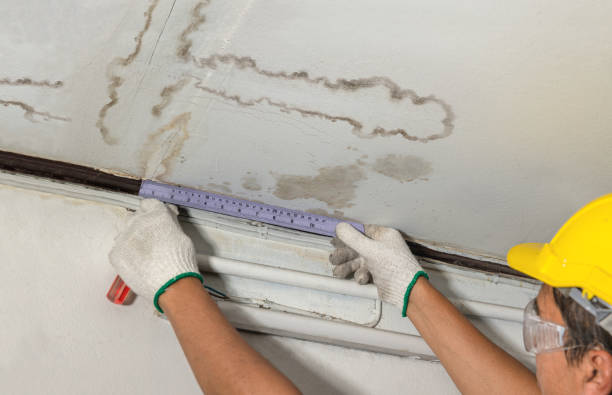 Reliable Water Damage contractor in Clinton, NJ by Water Damage Irwin